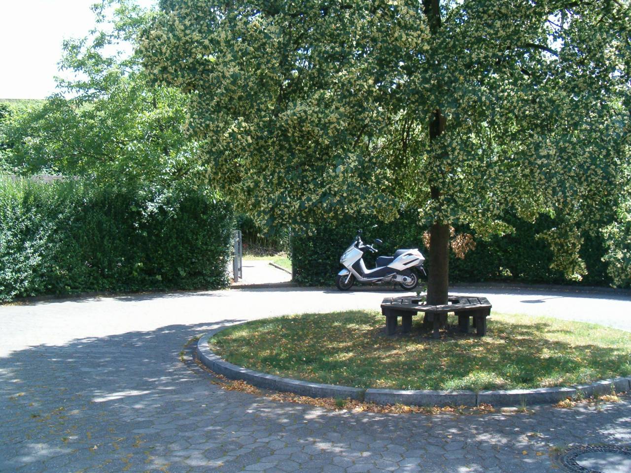 Weg von oben